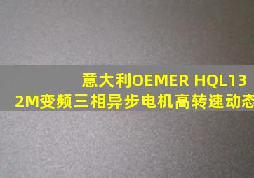 意大利OEMER HQL132M变频三相异步电机高转速动态